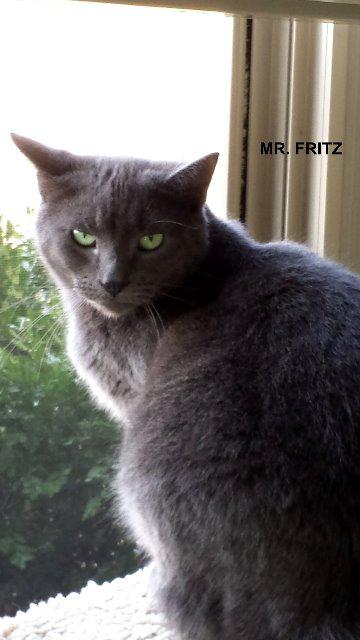 Mr. Fritz